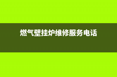 燃气壁挂炉维修故障代码(燃气壁挂炉常见故障代码)(燃气壁挂炉维修服务电话)