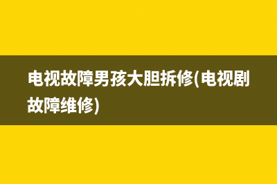 电视故障男孩大胆拆修(电视剧故障维修)