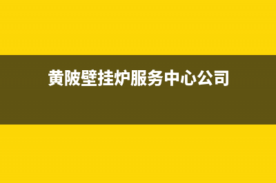 黄陂immergas壁挂炉故障代码(武昌immergas壁挂炉e9故障)(黄陂壁挂炉服务中心公司)