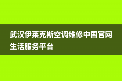 江夏伊莱克斯空调维修(武汉伊莱克斯空调维修中国官网生活服务平台)