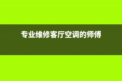 专业维修客厅空调公司(专业维修客厅空调的师傅)