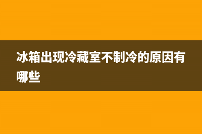 饭店冰箱冷藏故障案例分享(饭店冰箱图片)(冰箱出现冷藏室不制冷的原因有哪些)