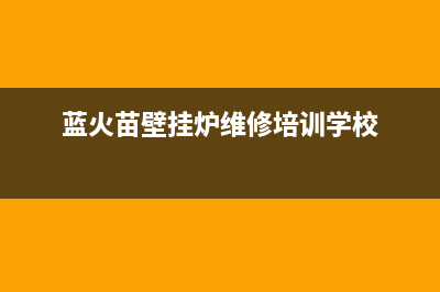 蓝火星壁挂炉故障(蓝火焰壁挂炉维修培训学校)(蓝火苗壁挂炉维修培训学校)