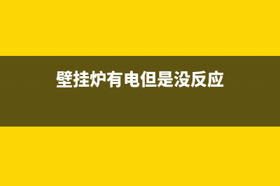 壁挂炉通电有几个故障代码(壁挂炉电源指示灯一直闪)(壁挂炉有电但是没反应)