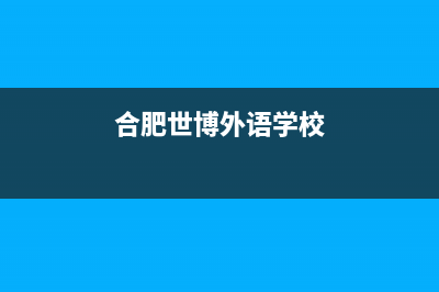 合肥蜀山博世壁挂炉维修(合肥世博外语学校)