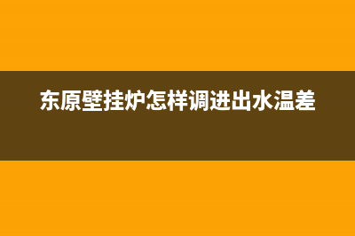 东原壁挂炉怎样维修(东原壁挂炉怎样调进出水温差)