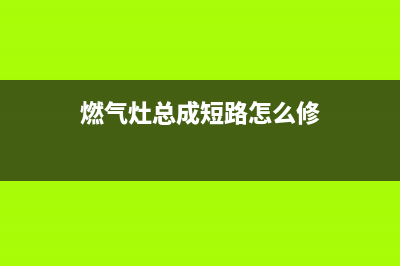 燃气灶总成短路维修,燃气灶短路故障分析(燃气灶总成短路怎么修)