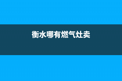 衡水哪有燃气灶维修(衡水哪有燃气灶卖)