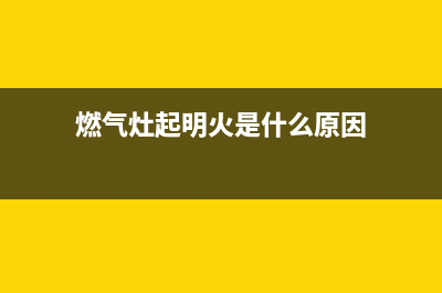 燃气灶长明火维修(燃气灶起明火是什么原因)