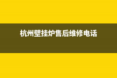 杭州木雕壁挂炉维修公司(杭州壁挂炉售后维修电话)