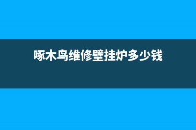 啄木鸟维修壁挂炉(啄木鸟维修壁挂炉多少钱)