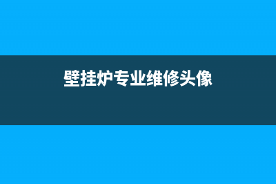 壁挂炉专业维修招聘信息(壁挂炉专业维修头像)