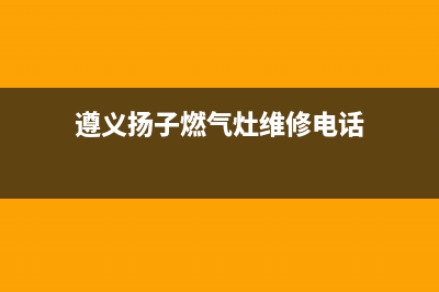 遵义扬子燃气灶维修(遵义扬子燃气灶维修电话号码)(遵义扬子燃气灶维修电话)