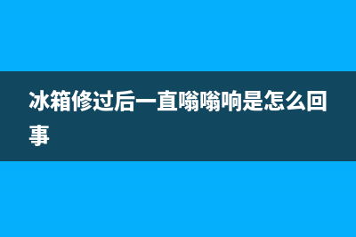 冰箱维修后有空气吗(冰箱修过后一直嗡嗡响是怎么回事)