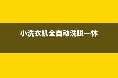 附近自动洗衣机维修(小洗衣机全自动洗脱一体)