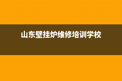 潍坊壁挂炉维修师傅电话(山东壁挂炉维修培训学校)