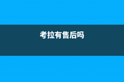 考拉冰箱维修视频教程(考拉有售后吗)