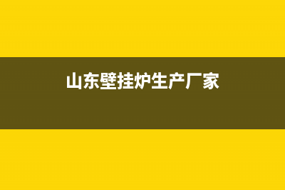 滨州普通壁挂炉维修公司(山东壁挂炉生产厂家)