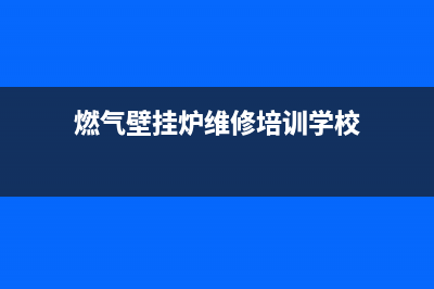 燃气壁挂炉维修视频合集(燃气壁挂炉维修培训学校)