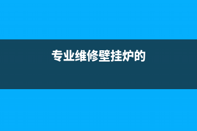 维修壁挂炉什么配件好用(专业维修壁挂炉的)