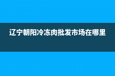 辽宁省朝阳冰箱维修(辽宁朝阳冷冻肉批发市场在哪里)