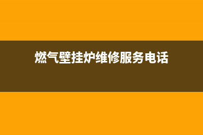 燃气壁挂炉维修置换费用(燃气壁挂炉维修服务电话)