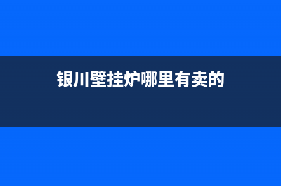 银川新城壁挂炉维修师傅(银川壁挂炉哪里有卖的)