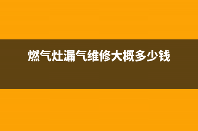 燃气灶漏气维修—燃气灶漏气维修视频(燃气灶漏气维修大概多少钱)