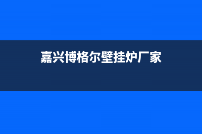 嘉兴博格尔壁挂炉售后服务热线(嘉兴博格尔壁挂炉厂家)