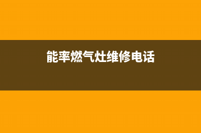 泰安能率燃气灶维修服务电话2023已更新(400)(能率燃气灶维修电话)