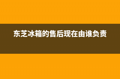 东芝冰箱上门服务标准2023已更新（厂家(东芝冰箱的售后现在由谁负责)