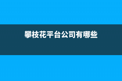 攀枝花市区阿里斯顿(ARISTON)壁挂炉客服电话24小时(攀枝花平台公司有哪些)