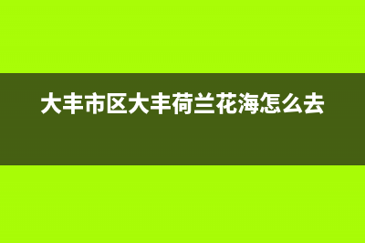 大丰市区BEAR BUTLER壁挂炉售后服务电话(大丰市区大丰荷兰花海怎么去)