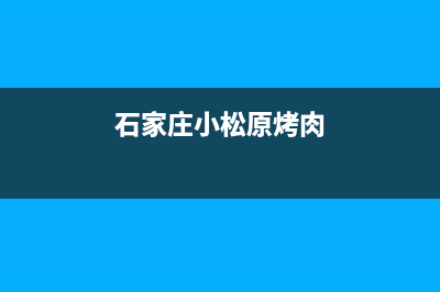 石家庄市区小松鼠(squirrel)壁挂炉售后维修电话(石家庄小松原烤肉)