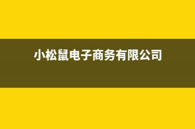 宁波市小松鼠(squirrel)壁挂炉维修电话24小时(小松鼠电子商务有限公司)