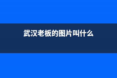 武汉市区老板(Robam)壁挂炉服务电话(武汉老板的图片叫什么)