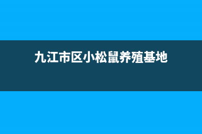 九江市区小松鼠(squirrel)壁挂炉全国售后服务电话(九江市区小松鼠养殖基地)