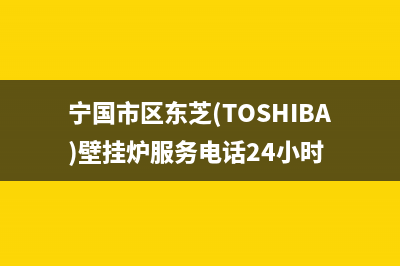 宁国市区东芝(TOSHIBA)壁挂炉服务电话24小时