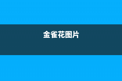 金雀花（PLANTAGENET）油烟机售后服务电话号2023已更新（今日/资讯）(金雀花图片)