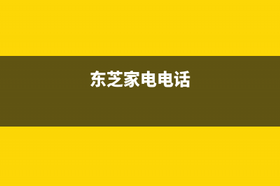 池州市区东芝(TOSHIBA)壁挂炉服务热线电话(东芝家电电话)