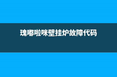 瑰啦嘟咪壁挂炉故障码(瑰嘟啦咪壁挂炉故障码07)(瑰嘟啦咪壁挂炉故障代码)