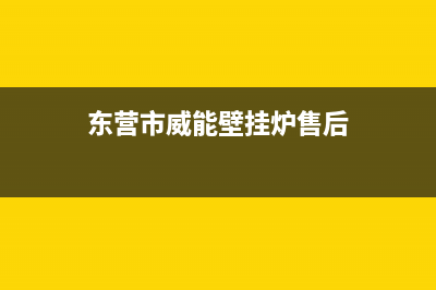 东营市威能壁挂炉服务电话24小时(东营市威能壁挂炉售后)