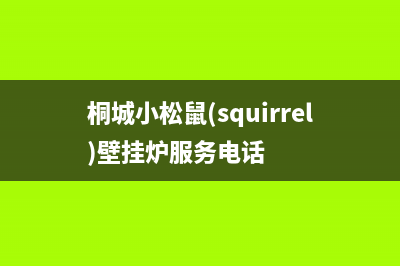 桐城小松鼠(squirrel)壁挂炉服务电话