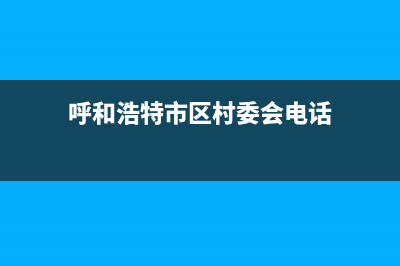 呼和浩特市区村田(citin)壁挂炉全国服务电话(呼和浩特市区村委会电话)