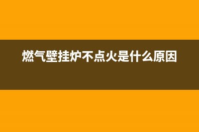 燃气壁挂炉ee03代码什么意思(燃气壁挂炉不点火是什么原因)