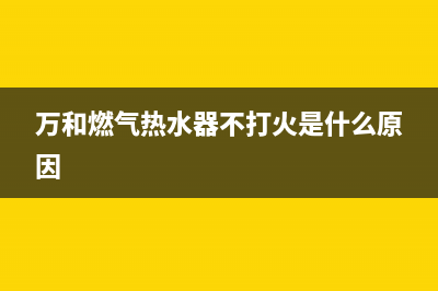 万和燃气热水器显示e9是什么故障(万和燃气热水器不打火是什么原因)