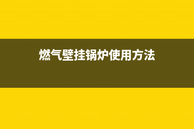 燃气壁挂锅炉e3故障(燃气壁挂锅炉使用方法)