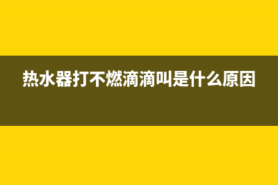 热水器打不着火代码e2(热水器打不燃滴滴叫是什么原因)