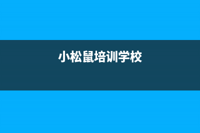 朝阳市小松鼠(squirrel)壁挂炉24小时服务热线(小松鼠培训学校)