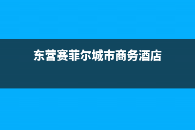 东营市区赛度壁挂炉服务电话(东营赛菲尔城市商务酒店)